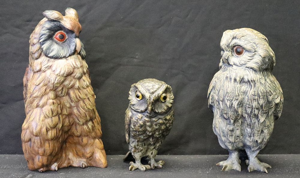 Appraisal: Large Vienna Bronze Cold Painted Owls Ranging in size From