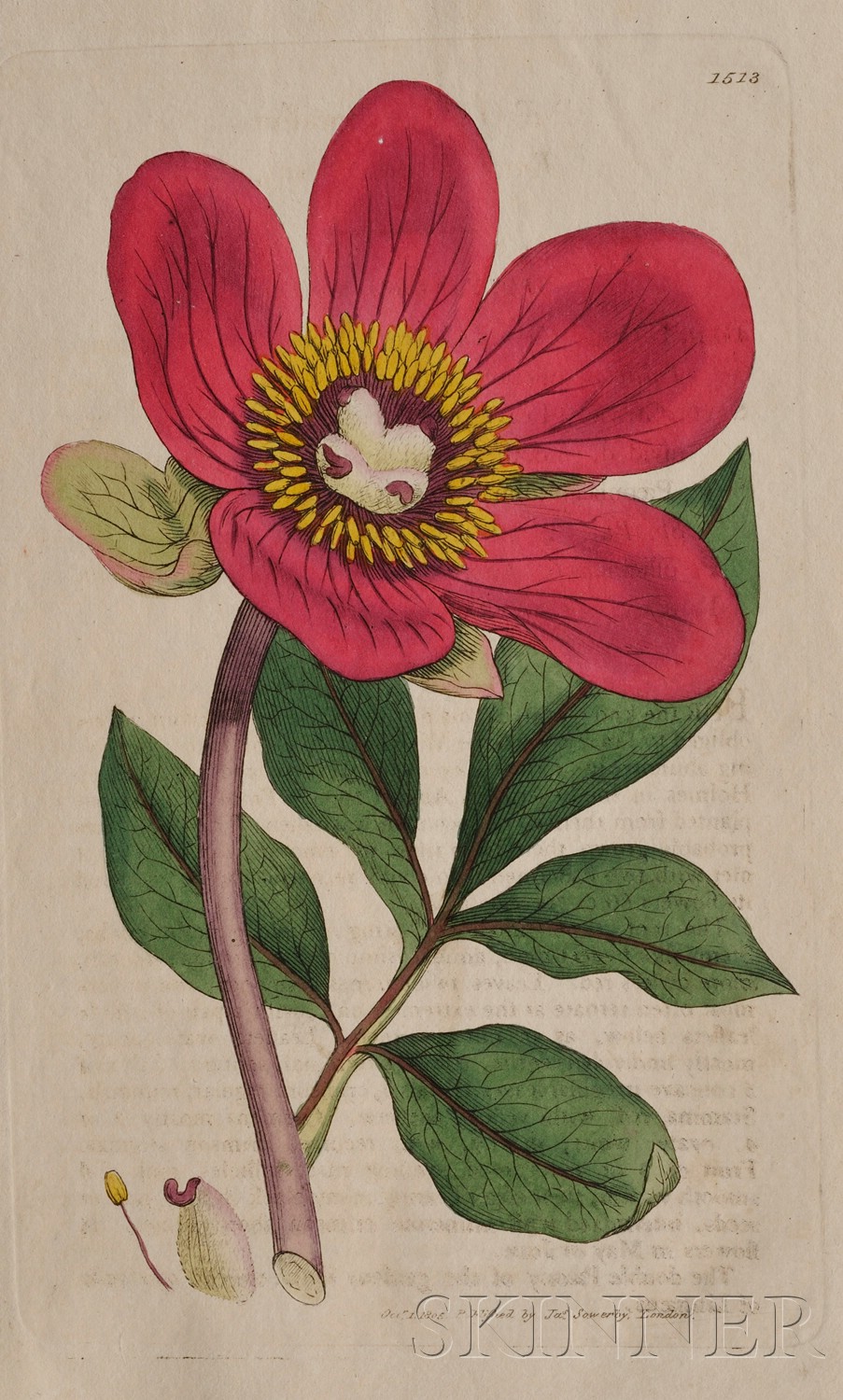 Appraisal: Botanical Sowerby James - Smith Sir James Edward - English