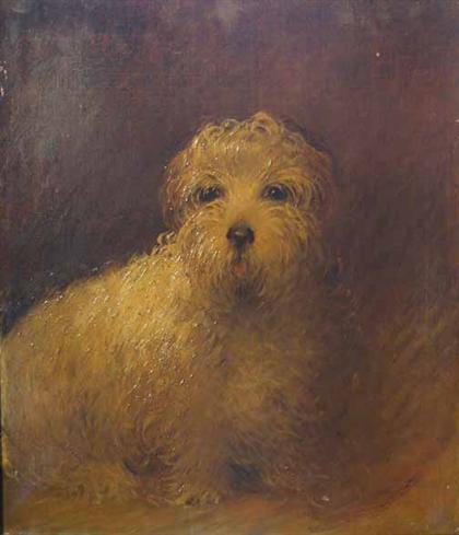 Appraisal: HARRY FINNEY american th th century PORTRAIT OF WHITE TERRIER