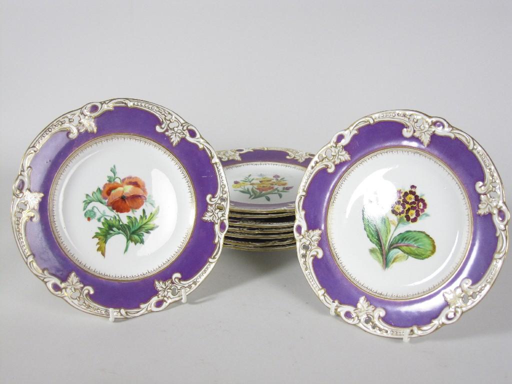 Appraisal: A th century porcelain part Botanical Dessert Service painted primula