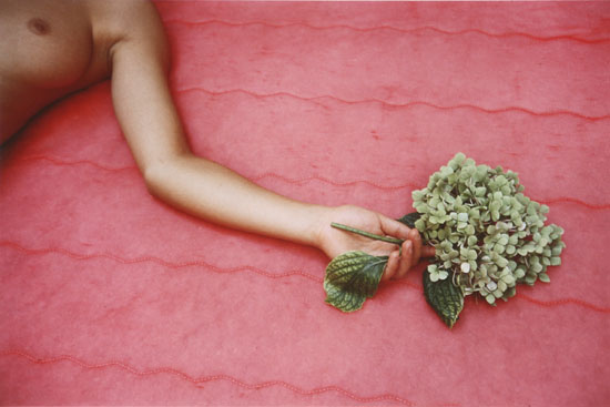 Appraisal: John Batho French b L'Hortensia Vert Cibachrome signed John Batho