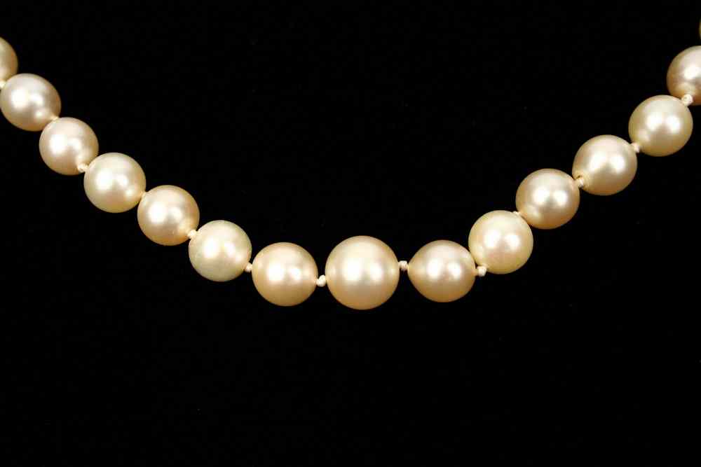 Appraisal: STRAND OF PEARLS - A graduated strand of seventy-five to