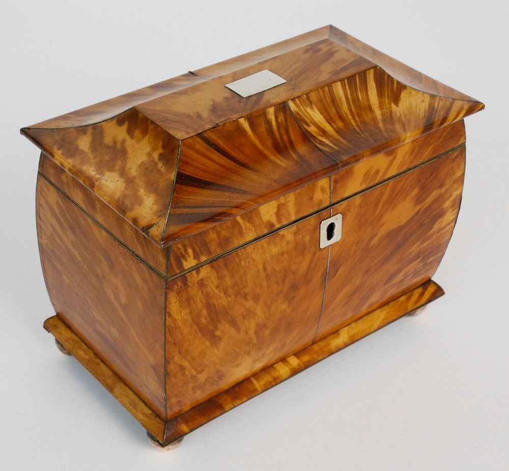 Appraisal: th c English Regency Tortoiseshell Double Compartment Tea Caddy th