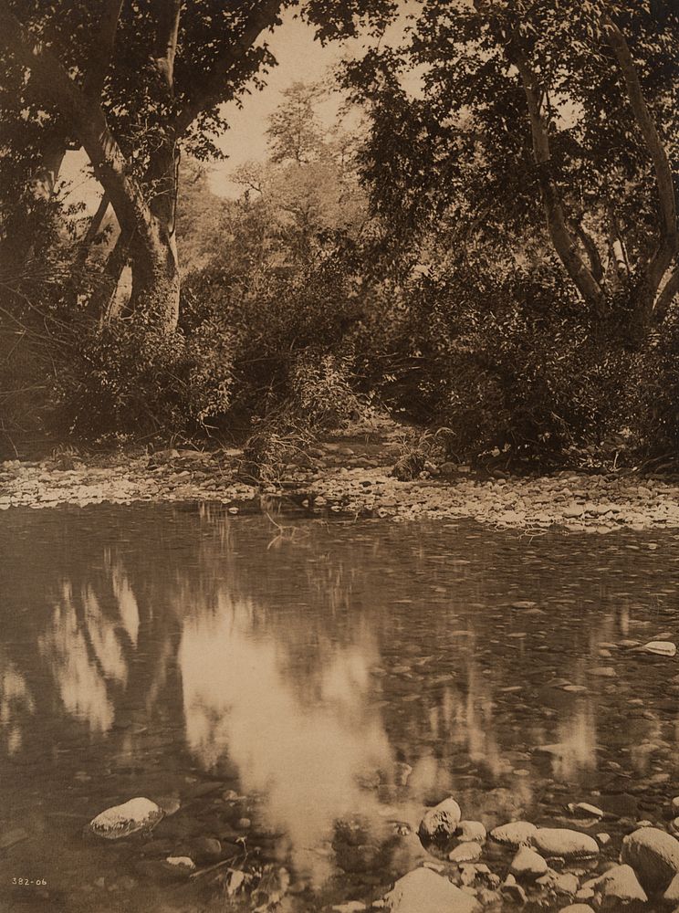 Appraisal: Edward Curtis Untitled Pool of Water Edward S Curtis -