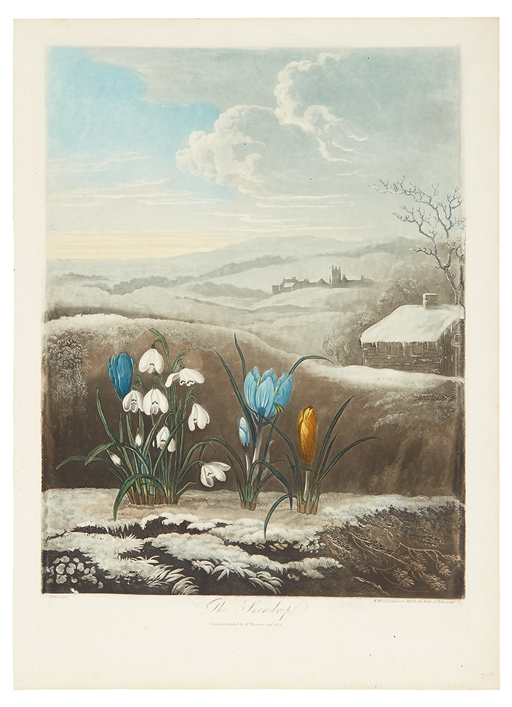 Appraisal: THORNTON ROBERT JOHN The Snowdrop Hand-finished color-printed aquatint and stipple-engraved