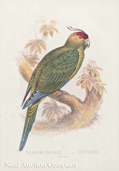 Appraisal: Eight Framed Plates from Cassell's Birds of Paradise London hand-colored