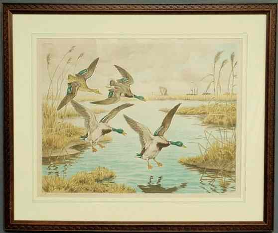 Appraisal: Framed and matted print of mallard ducks signed l r