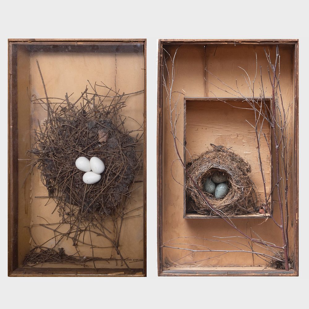 Appraisal: Pair of Belgian Bird Nest Dioramas Attributed to Jean Pierre