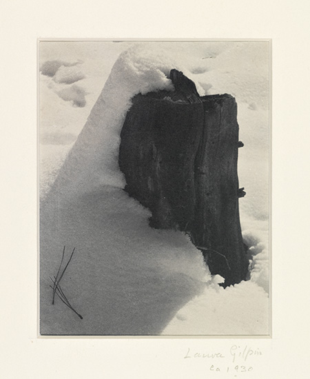 Appraisal: GILPIN LAURA - Tree Stump in Snow Platinum print x