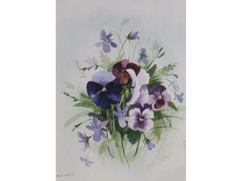 Appraisal: ALISON ROSS EWAN Pair of watercolour flower studies 'Pansy Power'