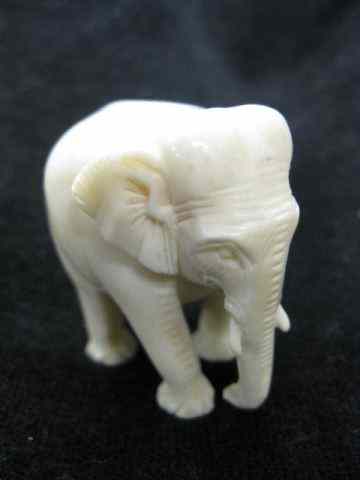 Appraisal: Carved Ivory Figurine of an Elephant '' excellent