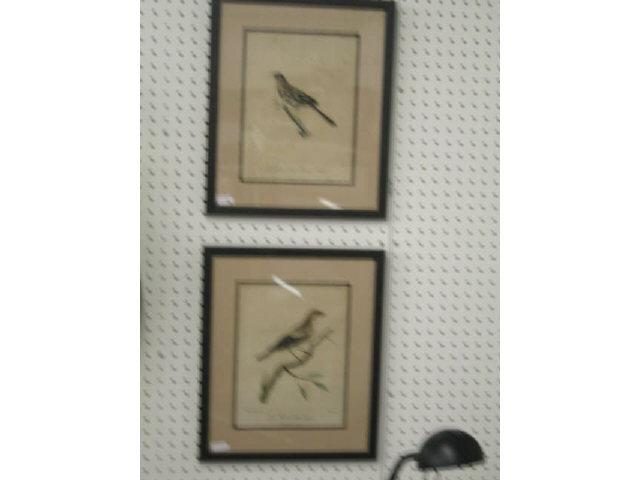 Appraisal: Pair of Handcolored Engravings of Birds early th century x