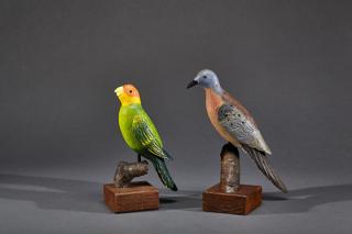 Appraisal: Passenger Pigeon and Carolina Parakeet Dean S Hurliman b Passenger