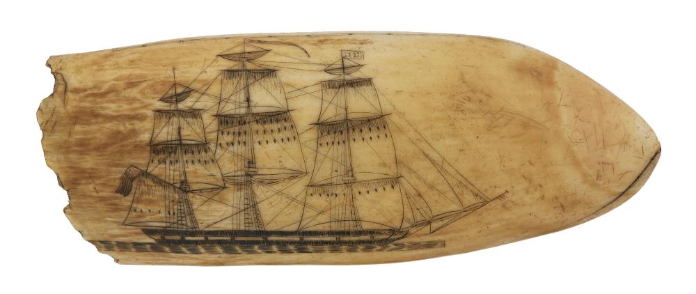 Appraisal: SCRIMSHAW WHALE S TOOTH WITH SHIP PORTRAIT AND LION FIGHTING