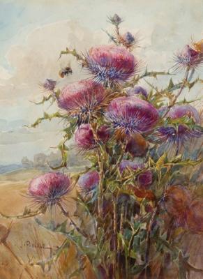 Appraisal: John Porter Wale British - Flower Studies signed six watercolours