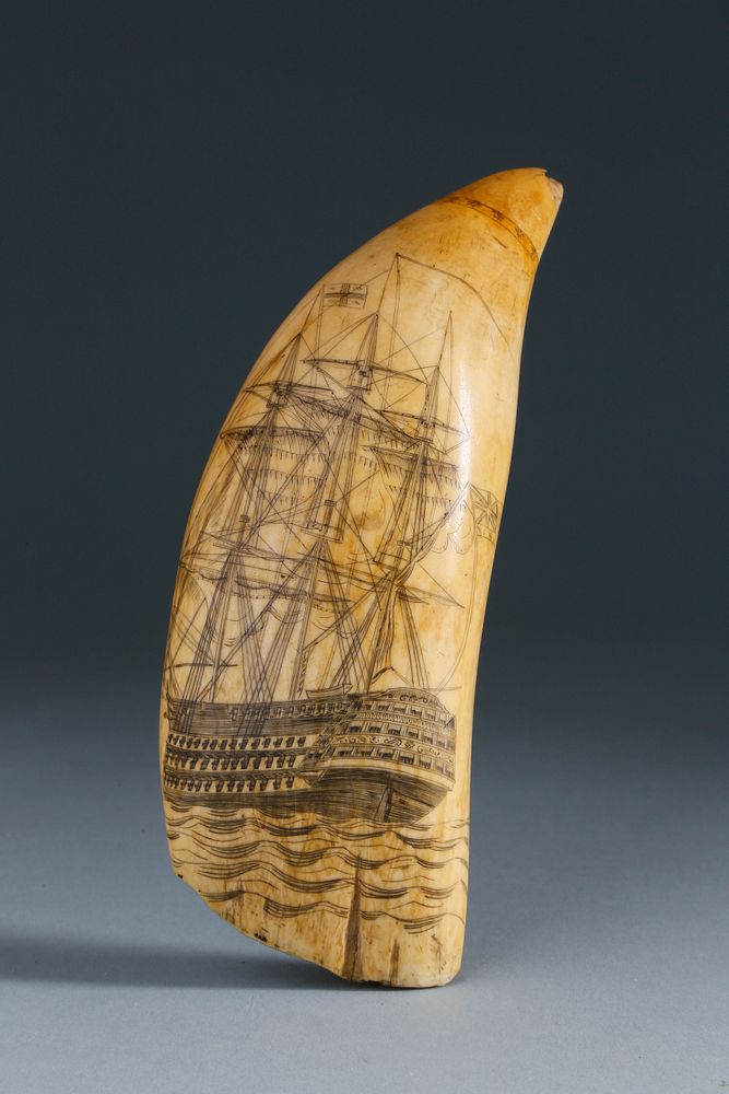 Appraisal: Fine Scrimshaw Sperm Whale Tooth of a Top-Rate British Man-O-War