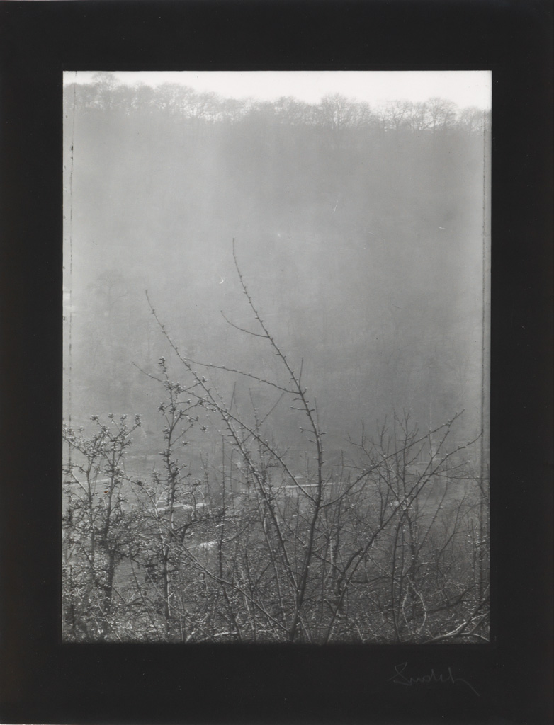 Appraisal: JOSEF SUDEK - View from voz Silver print the image