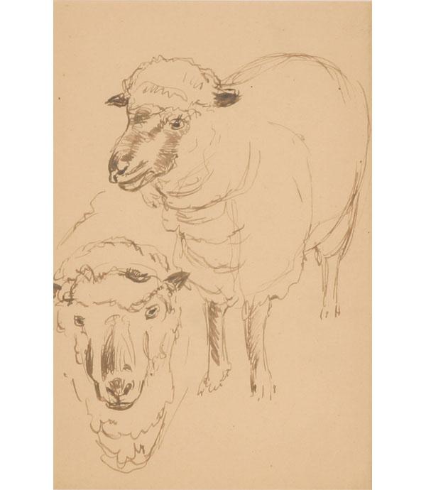 Appraisal: Otto Stark American - sheep studies four loose one matted