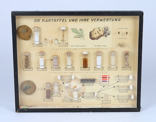 Appraisal: A GERMAN DISPLAY CASE showing the potato it's constituents diseases