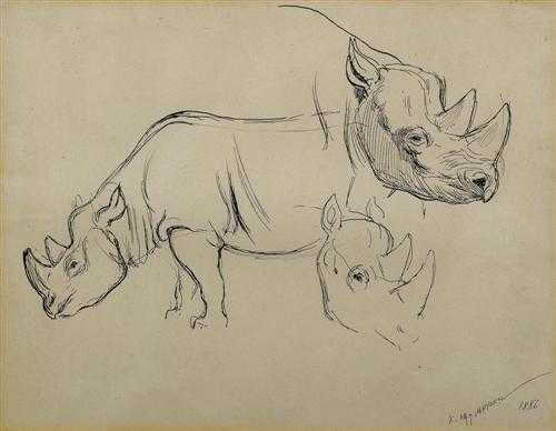 Appraisal: VAN MUYDEN EVERT LOUIS Albano - Orsay Study of Rhinoceri