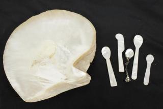 Appraisal: Mother Natural history the serving dish formed of a single