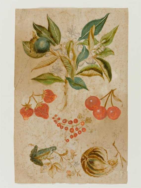 Appraisal: GERMAN TH CENTURY Study with garden fruits and frog Brown