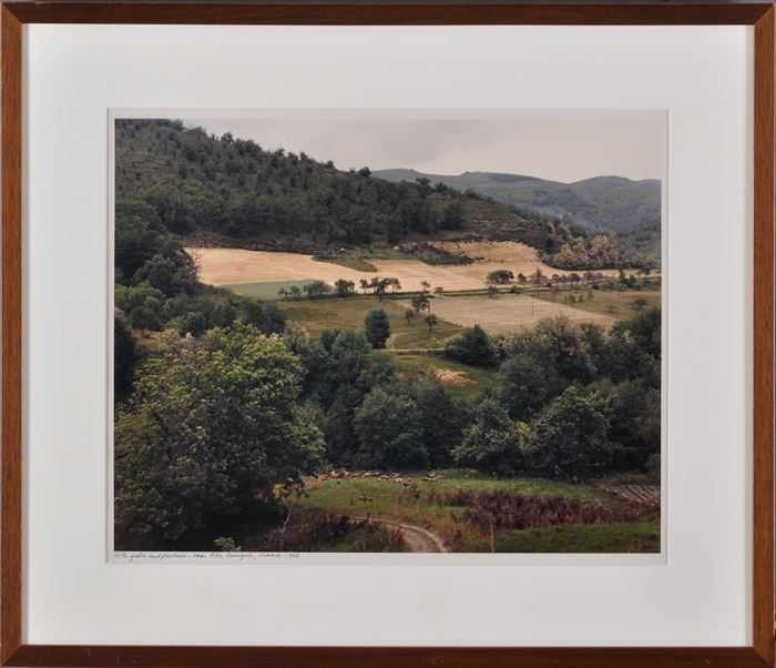 Appraisal: FRANK GOHLKE b HILLS AND FIELDS AND PASTURES NEAR ALLES