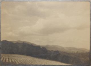 Appraisal: Carle Semon photograph Carle Semon American th c - ''Farm