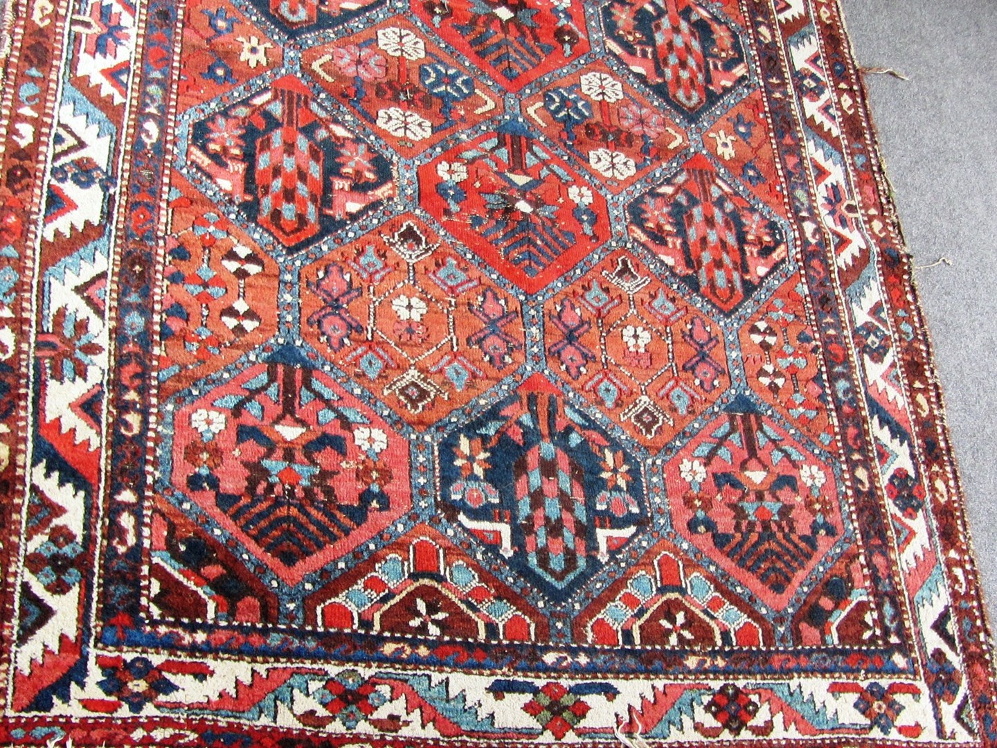 Appraisal: A Bakhtiari rug Persian the field with a trellis each