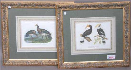 Appraisal: TWO ANTIQUE BIRD ENGRAVINGS Both by Strats Drucker elog palam