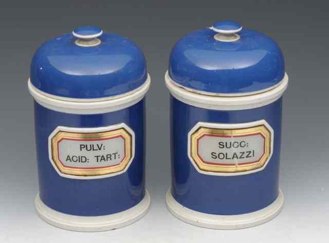 Appraisal: A PAIR OF TH CENTURY BLUE GROUND DRUG JARS and