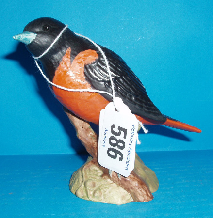 Appraisal: Baltimore Oriole Matt