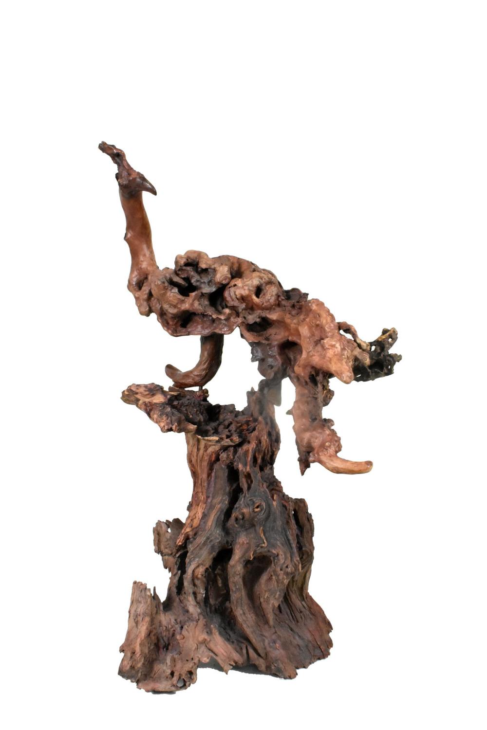 Appraisal: CHINESE NATURAL BURLWOOD ROOT SCULPTURE Resembling a peacock atop a