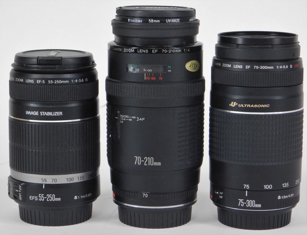 Appraisal: GROUP OF CANON EF LENSES Group of Canon EF lenses