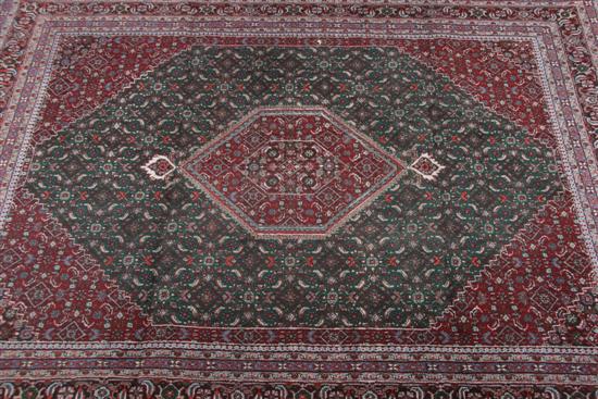 Appraisal: INDO-BIJAR RUG ft in x ft in