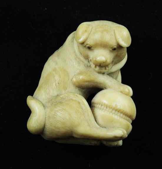 Appraisal: A Meiji period ivory netsuke carved as a dog with