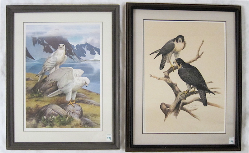 Appraisal: ROGER TORY PETERSON TWO OFF-SET LITHOGRAPHS Connecticut - Titled Gyrfalcon