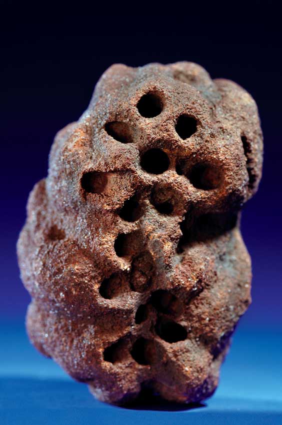 Appraisal: RARE CRETACEOUS MUD WASP NEST Arthropod Uruguay auroranormal Cretaceous Nueva