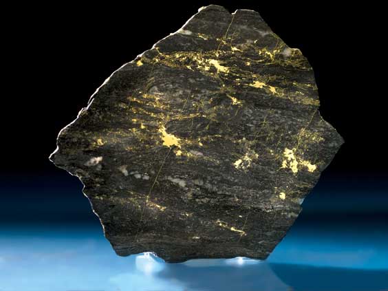 Appraisal: GOLD IN BLACK QUARTZ SLAB Red Lake Mine Ontario Canada