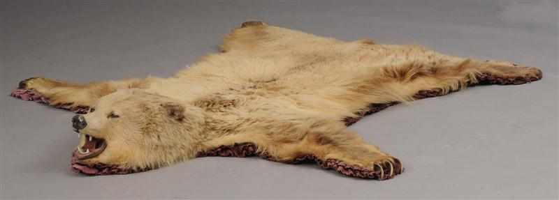 Appraisal: BEAR SKIN RUG ft in x ft in