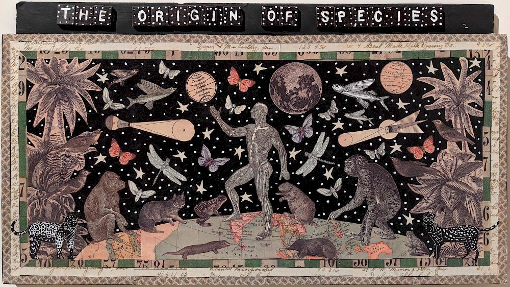 Appraisal: Mary Cooper - Origin of Species Lot Origin of Species