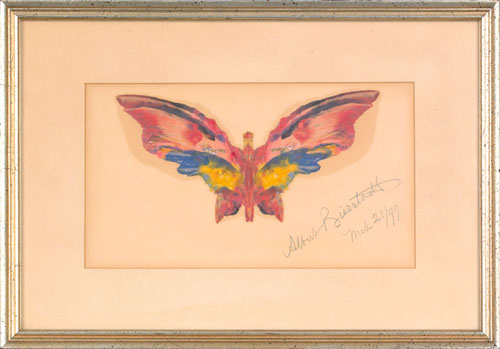 Appraisal: Albert Bierstadt American - oil on paper of a butterfly