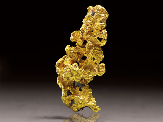 Appraisal: GOLD NUGGET Talbot Victoria Australia Gold is one of the