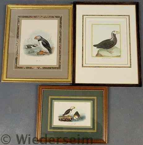 Appraisal: Three framed and matted colorful bird prints largest x