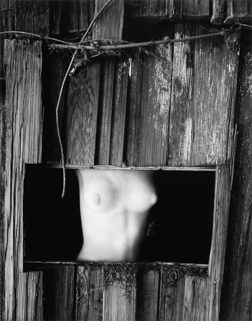 Appraisal: WYNN BULLOCK - Torso in Window Silver print the image