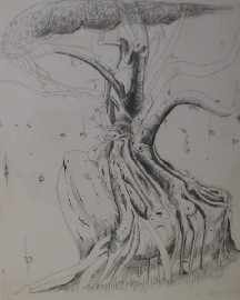 Appraisal: Brett Whiteley - Moreton Bay Fig etching signed 'brett whiteley'