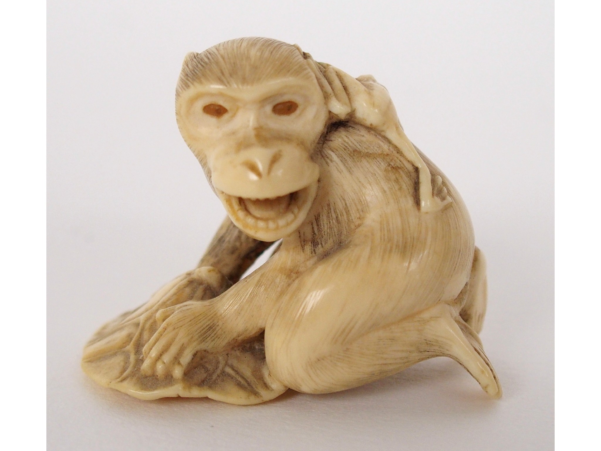 Appraisal: A Japanese ivory Netsukeof a monkey kneeling on a lilypad