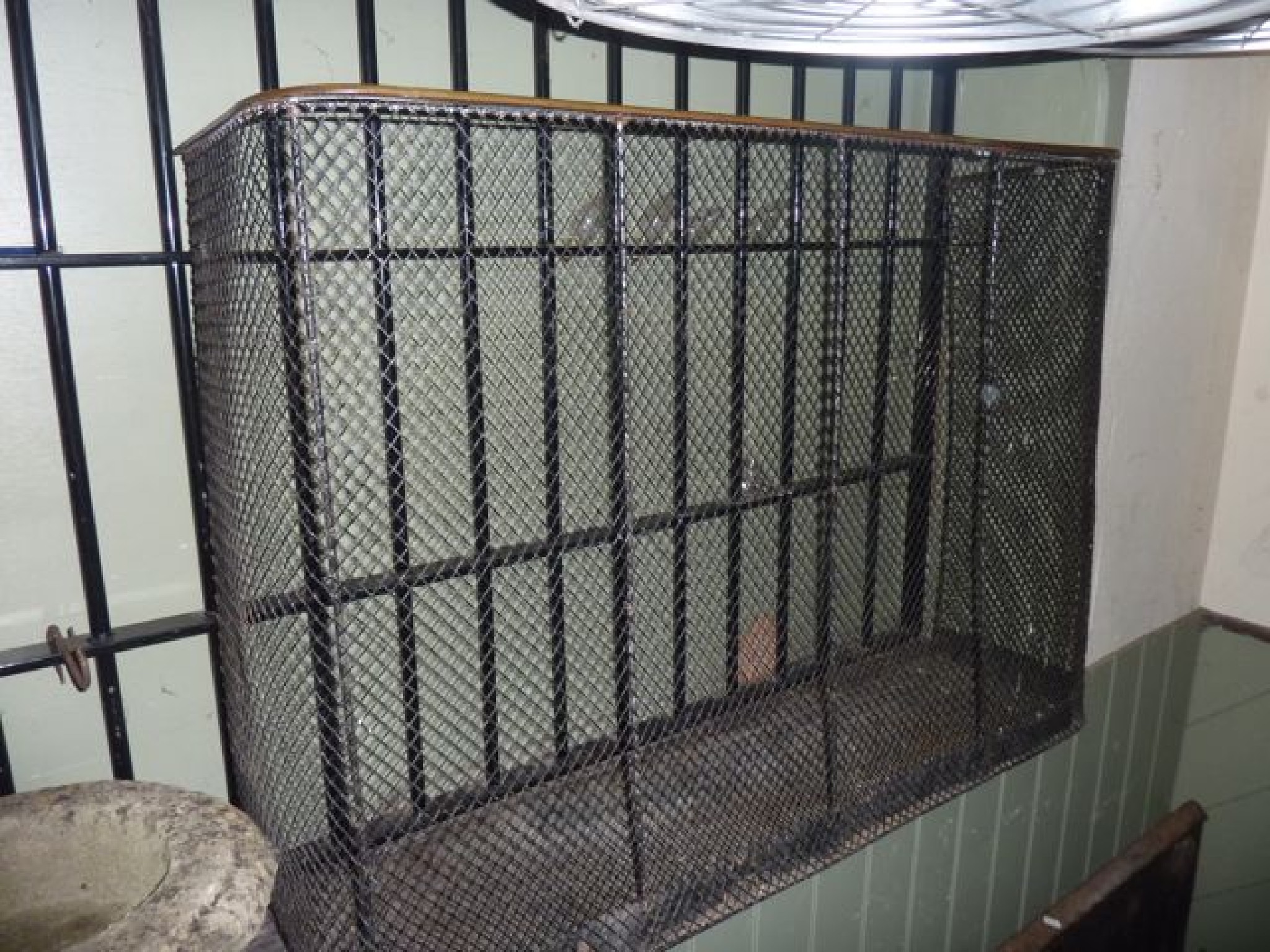 Appraisal: A Victorian nursery guard with wire work panels and brass