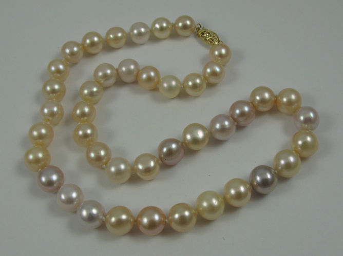 Appraisal: MULTI-COLOR PEARL CHOKER LENGTH NECKLACE Mixed peach and violet luster