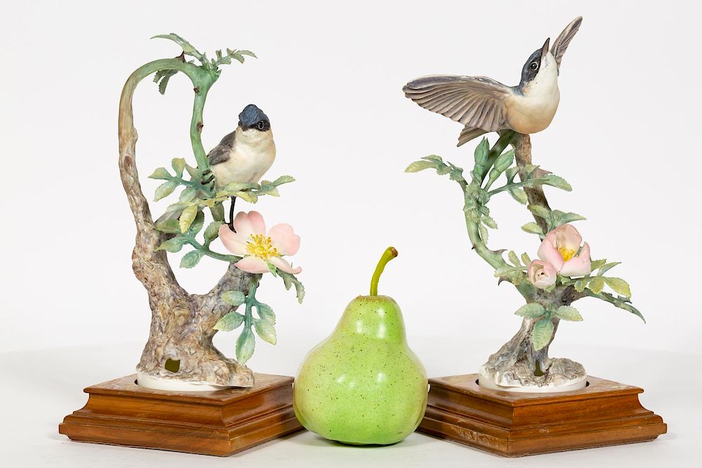 Appraisal: Pair Doughty Lesser Whitethroats w Bases Dorothy Doughty Italian -